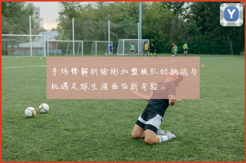 李玮锋解析徐彬加盟狼队的挑战与机遇足球生涯面临新考验